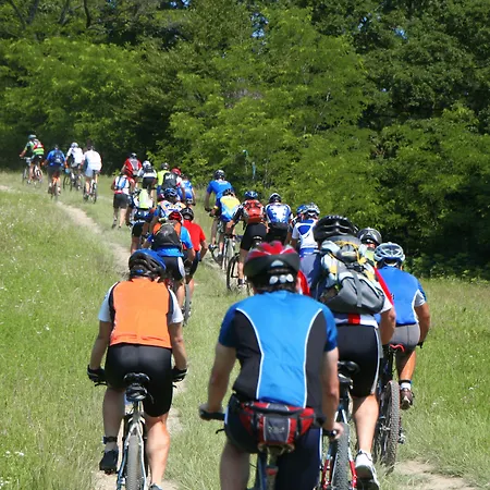 Restaurant Ruimzicht Hotel 3*