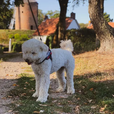 Hotel Restaurant Ruimzicht Zeddam