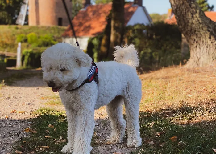 Szálloda Restaurant Ruimzicht Zeddam