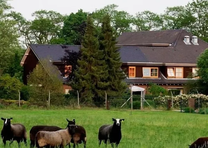 Szálloda Restaurant Ruimzicht