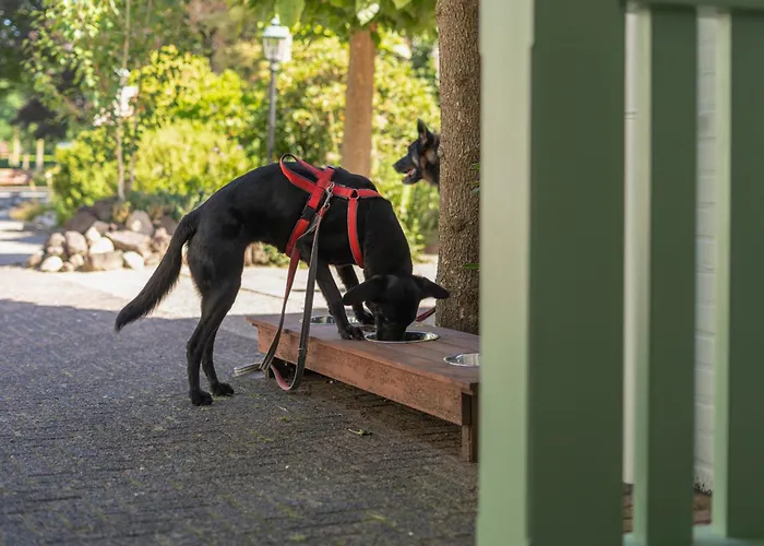 Szálloda Restaurant Ruimzicht