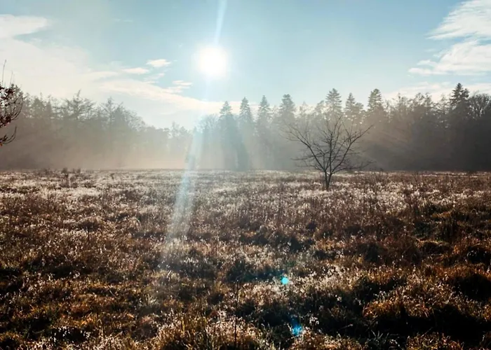 Restaurant Ruimzicht Hotel