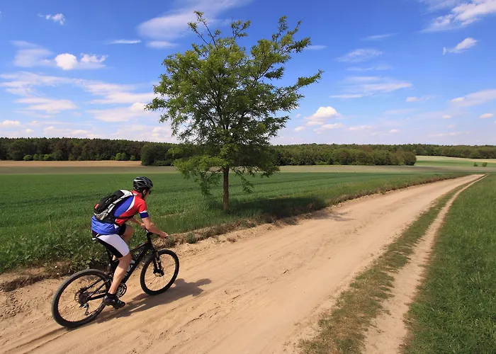 Hotel Restaurant Ruimzicht Zeddam