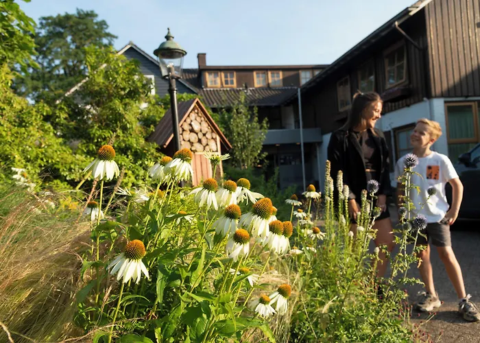 Hotel Restaurant Ruimzicht 3*